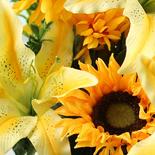 Yellow Lily, Mum, and Sunflower Bush