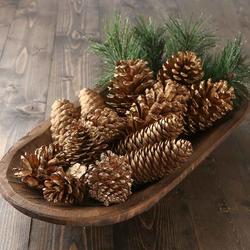 Decorative Christmas Pinecone Assortment