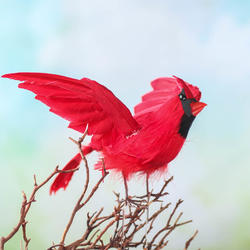 Flying Artificial Cardinal