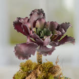 Artificial Decorative Winter Cabbage