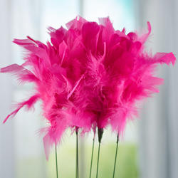 Hot Pink Fuzzy Feather Sprays