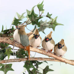 Artificial Female Cardinals
