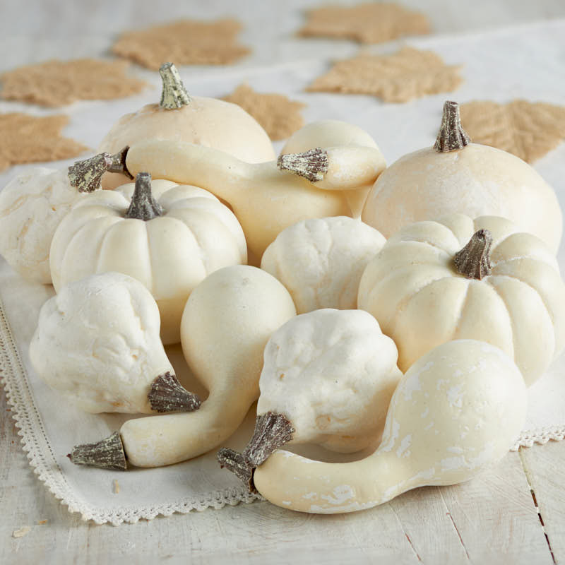 Assorted Harvest White Artificial Pumpkins and Gourds - Fall and