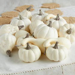 Assorted Harvest White Artificial Pumpkin and Gourds