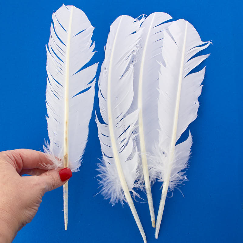 White Quill Feathers - Angel Wings - Doll Making Supplies - Craft Supplies