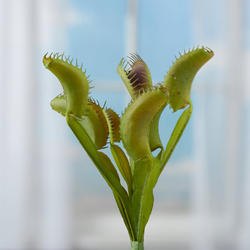Artificial Venus Flytrap Plant