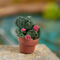 Miniature Potted Flowering Cactus