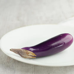 Artificial Eggplant