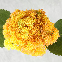 Yellow Artificial Sedum Succulent Stem