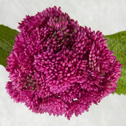Purple Artificial Sedum Succulent Stem