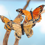 Artificial Monarch Butterflies