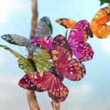 Artificial Assorted Color Feather Butterflies