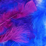 Assorted Blue and Purple Turkey Feathers