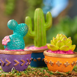 Miniature Potted Cacti Set