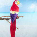 Life Size Tropical Red Artificial Macaw Parrot