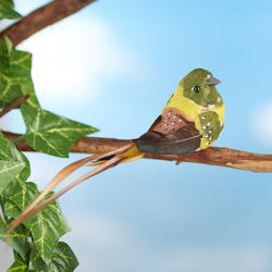 Yellow and Green Artificial Bird