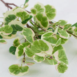 Variegated Broad Leaf Artificial Ivy Spray
