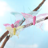 Sheer Iridescent Glittered Artificial Butterflies