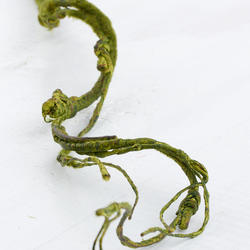 Green Artificial Curly Willow Twig Spray