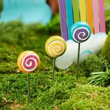 Miniature Lollipop Set