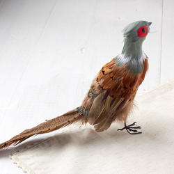 Sitting Artificial Pheasant