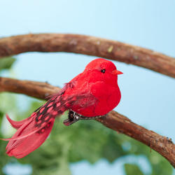 Fancy Red Velvet Mushroom Bird