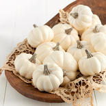 Assorted Harvest White Artificial Baby Boo Pumpkins