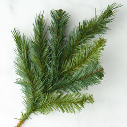 Artificial Pine Pick - Artificial Greenery - Florals - Craft Supplies ...