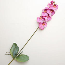 Purple and Cream Artificial Orchid Stem