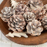 White Washed Pinecones and Wood Tree Cutouts