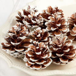White Washed Pinecones