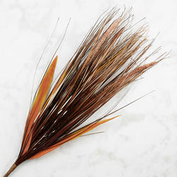 Dried Artificial Feather Reedgrass Bush