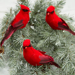 Red Artificial Cardinals with Clip