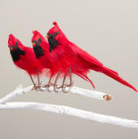 Feathered Artificial Cardinals