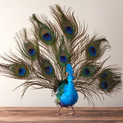 Feathered Artificial Peacock