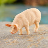 Miniature Momma Pig