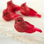 Red Glittered Cardinal Birds