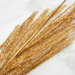 Gold Tinsel Pampus Grass