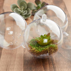 80mm Clear Acrylic Fillable Ball with Holes Ornaments