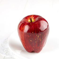 Glossy Artificial Red Delicious Apple