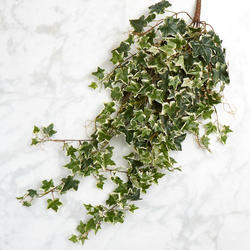 Variegated Cascading Artificial Ivy Greenery Bush 