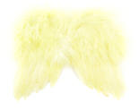 Yellow Feather Angel Wings