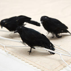 Artificial Crows