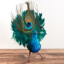 Natural Feathered Artificial Peacock