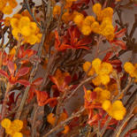 Autumn Yellow Artificial Starflower and Berry Bush