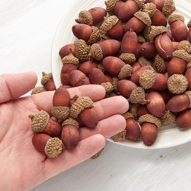 Artificial acorns
