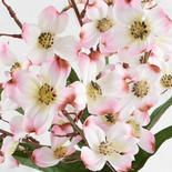 Cream and Pink Artificial Dogwood Bush
