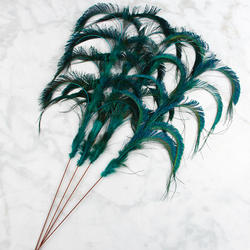 Peacock Feather Sprays