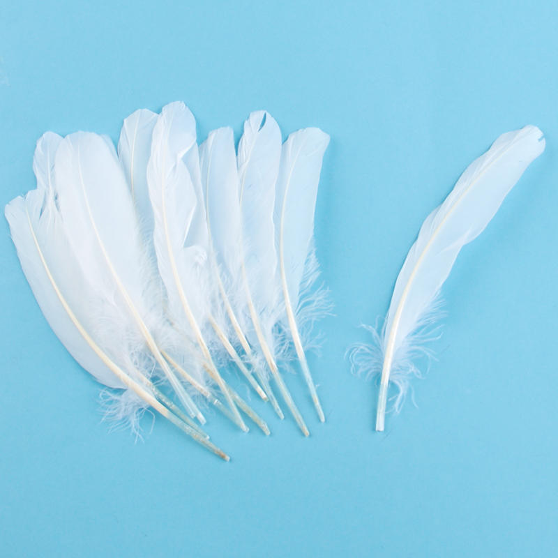 White Feathers - Feathers - Basic Craft Supplies - Craft Supplies