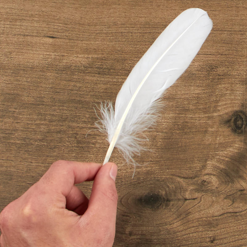 White Feathers - Feathers - Basic Craft Supplies - Craft Supplies